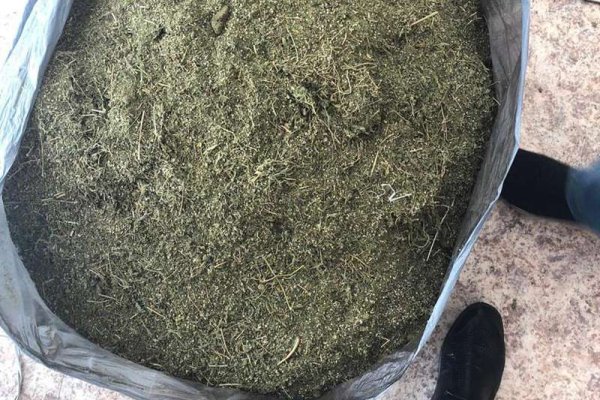 Kraken darknet ссылка тор