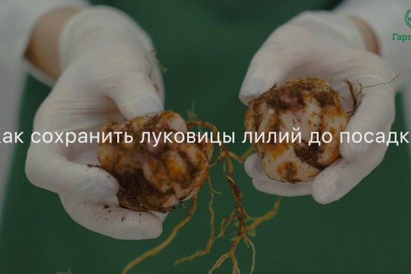 Kraken istand onion ссылка