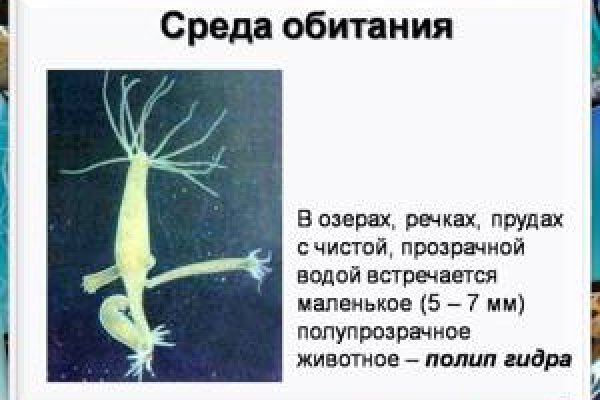 Кракен сайт 18at