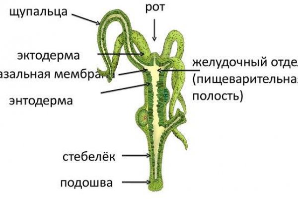 Кракен рабочая ссылка на официальный магазин